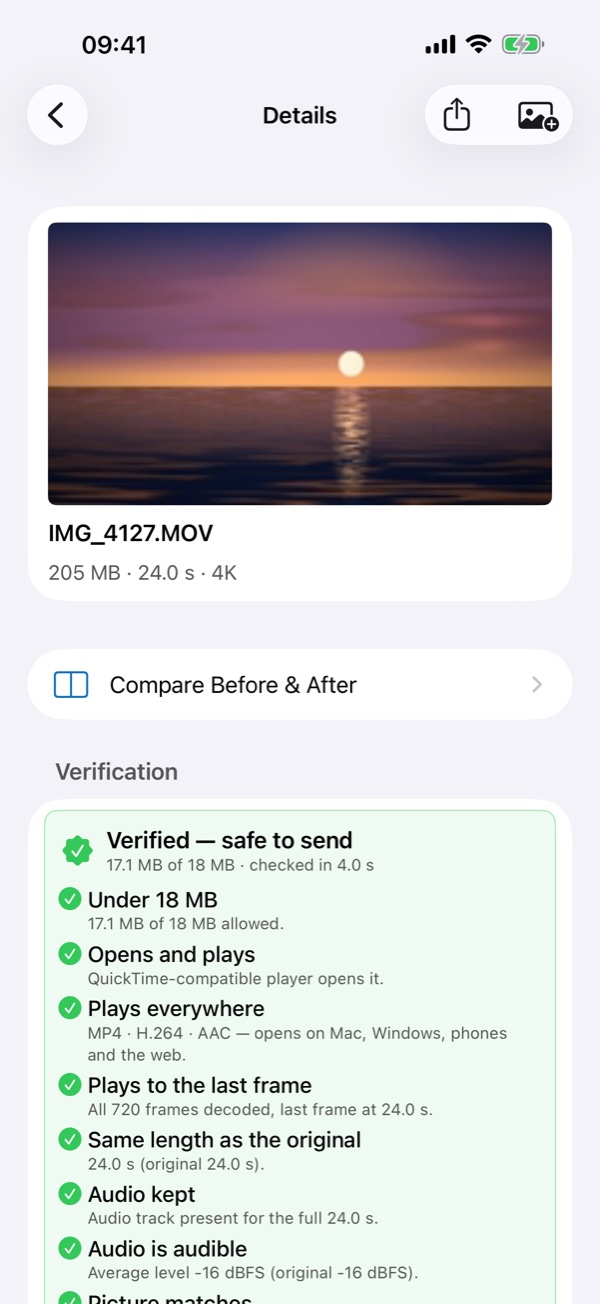 SizeFit on iPhone: details of a verified video with Compare Before and After.